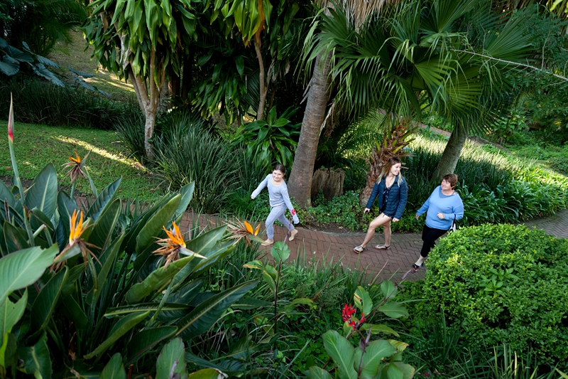 Tropical garden at the Estuary Hotel, Port Edward.