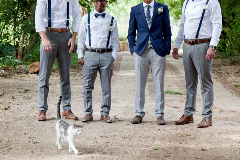 White and grey cat photo bombing groomsman portrait.
