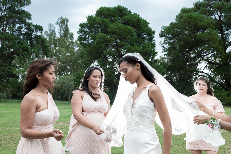 Bridesmaids holding brides long veil in the wind, at Leafy Green Cafe.