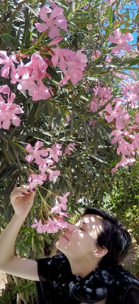 DCIM100GOPROGOPR1798.