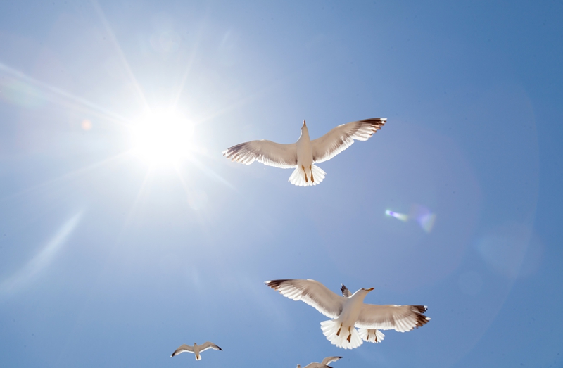 Natasha-Dyduch-Photography-11